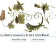 Google fête le 366ème anniversaire de Maria Sibylla Merian [Doodle]