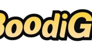 Boodigo - D'anciens Xooglers créent le Google du porno