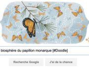 Google fête le 41e anniversaire de la découverte de la réserve de biosphère du papillon monarque [#Doodle]